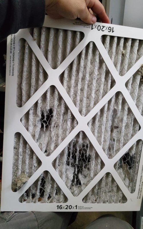 Performed scheduled heating maintenance after 2:30 pm as requested. Inspected furnace components including control board wiring and Honeywell switch functionality. Replaced severely soiled 16×20×1 air filter which showed significant dust accumulation, improving system airflow and efficiency.