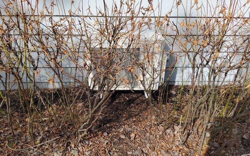 Responded to service call for non-operational mini split system over 10 years old. Performed diagnostic evaluation of both outdoor condensing unit and indoor wall-mounted air handler. Outdoor unit found partially obscured by overgrown landscaping, which may impact airflow and system efficiency. Completed system assessment and documented equipment condition with photographic evidence for service records.