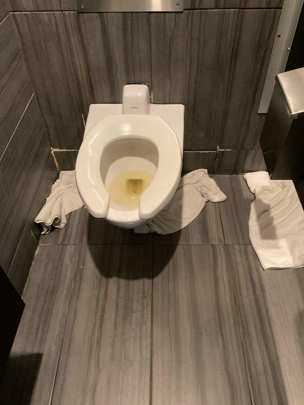 Responded to commercial leak complaint in women's restroom involving automatic flush toilet. Upon inspection, identified leak originating from TOTO in-wall flush valve system. Placed absorbent towels around toilet base to contain water. Inspected flush panel actuator and internal valve assembly for malfunction. Tested sensor operation and verified flush mechanism cycling. Addressed leak source and restored proper toilet function.