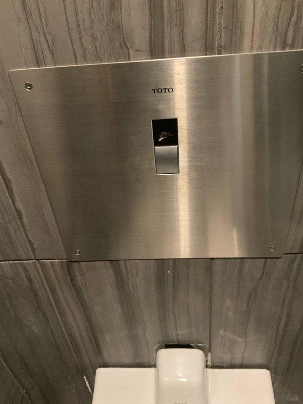 Responded to commercial leak complaint in women's restroom involving automatic flush toilet. Upon inspection, identified leak originating from TOTO in-wall flush valve system. Placed absorbent towels around toilet base to contain water. Inspected flush panel actuator and internal valve assembly for malfunction. Tested sensor operation and verified flush mechanism cycling. Addressed leak source and restored proper toilet function.