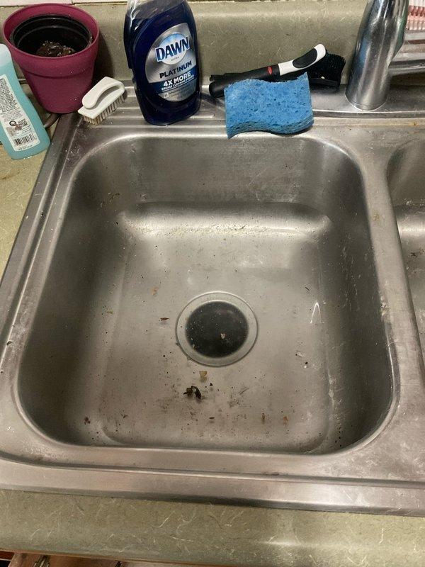 Responded to clogged kitchen sink in 125-year-old home where homeowner was concerned about potential garbage disposal replacement. Upon inspection, found existing black garbage disposal unit with connected dishwasher drain line and standard P-trap configuration beneath single-basin stainless steel sink. Assessed disposal functionality, cleared blockage from drain system, and verified proper drainage flow. Determined existing disposal unit was operational and did not require replacement at this time.