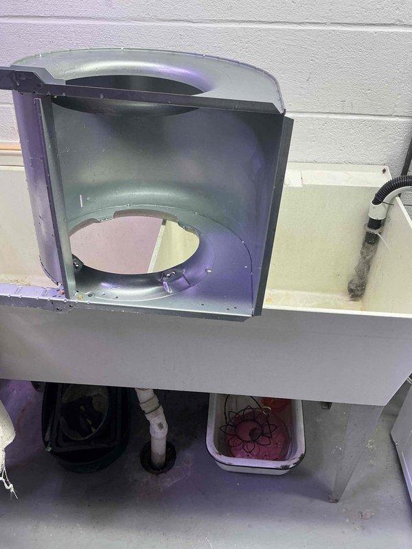 Removed blower assembly from air handler unit and performed thorough cleaning of squirrel cage fan wheel. Blower wheel showed significant dust accumulation on blades which was impacting system airflow and efficiency. Disassembled housing components, extracted blower wheel, and cleaned all debris from blades and assembly. Reinstalled cleaned blower assembly, secured all mounting hardware, and verified proper operation before closing access panel.