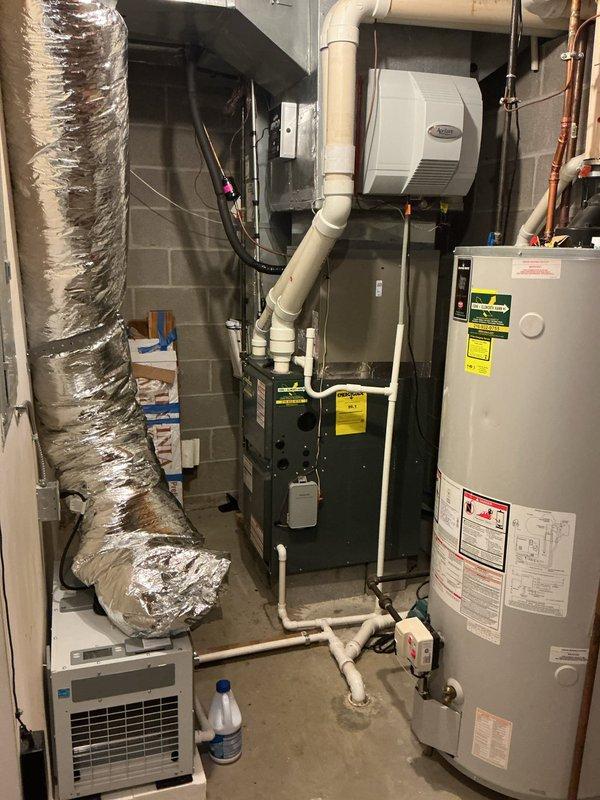 Conducted estimate for complete furnace replacement of 11-year-old Goodman unit in basement mechanical room. Upon inspection, discovered severe contamination from liquified rodent remains inside the furnace cabinet, rendering the existing equipment unsanitary and unsafe for continued operation. Documented existing HVAC system configuration including flexible ductwork, humidifier integration, and current electrical connections to provide accurate replacement specifications and ensure proper system sizing for the home.