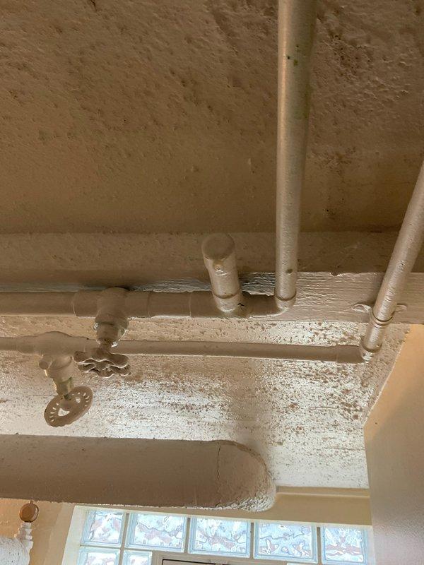 Completed comprehensive plumbing maintenance assessment of exposed ceiling-mounted pipe systems, including inspection of PVC supply lines, flexible metal conduit connections, and shutoff valve mechanisms. Documented deteriorating paint conditions on surrounding surfaces and pipe mounting integrity, photographing areas showing wear, peeling, and substrate exposure that may require future attention to prevent moisture intrusion or structural concerns.