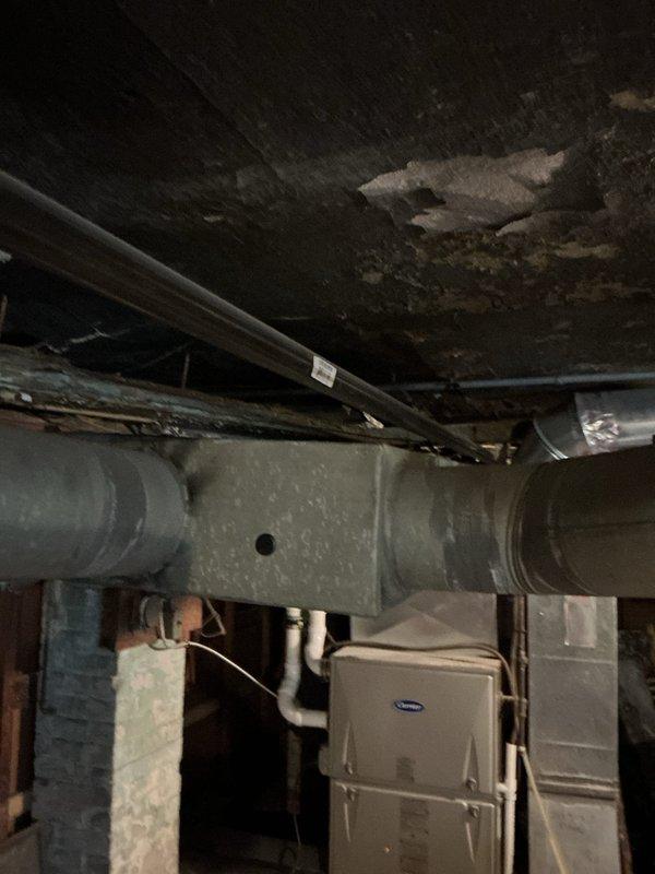 Conducted on-site evaluation for add-on air conditioning system to existing forced air heating setup. Assessed current Carrier furnace installation and existing ductwork infrastructure in basement mechanical room to determine compatibility and requirements for AC integration. Documented existing HVAC configuration including supply ductwork, PVC drainage lines, and available space for evaporator coil placement above furnace unit. Evaluated structural conditions of ceiling joists showing water damage and deterioration that may require attention during installation. Provided comprehensive estimate for complete air conditioning system addition including necessary ductwork modifications, electrical requirements, condensate drainage integration with existing PVC system, and outdoor condenser unit placement.