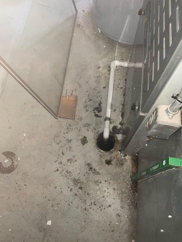 Responded to main drain backup in basement. Upon arrival, found floor drain with significant debris buildup and discoloration indicating chronic drainage issues. Performed main drain cleanout through accessible cleanout fitting on vertical PVC drain line. Cleared blockage from main sewer line, restoring proper drainage flow. Tested system to confirm backup was resolved and drain was functioning properly.
