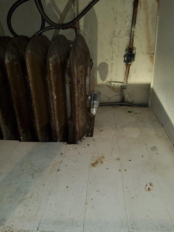 Performed maintenance inspection on Weil McLain cast iron radiator heating system. Upon inspection, radiator showed significant age-related deterioration with rust and corrosion present on surfaces. Suspected plugged pipe or steam supply issue affecting radiator performance based on visual assessment and system evaluation. Documented existing conditions including deteriorated piping, corroded fittings, and wall damage from potential water exposure.