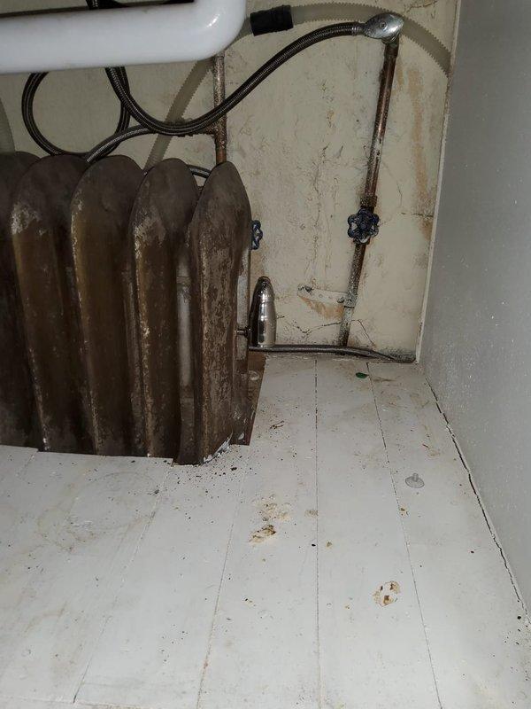 Performed maintenance inspection on Weil McLain cast iron radiator heating system. Upon inspection, radiator showed significant age-related deterioration with rust and corrosion present on surfaces. Suspected plugged pipe or steam supply issue affecting radiator performance based on visual assessment and system evaluation. Documented existing conditions including deteriorated piping, corroded fittings, and wall damage from potential water exposure.