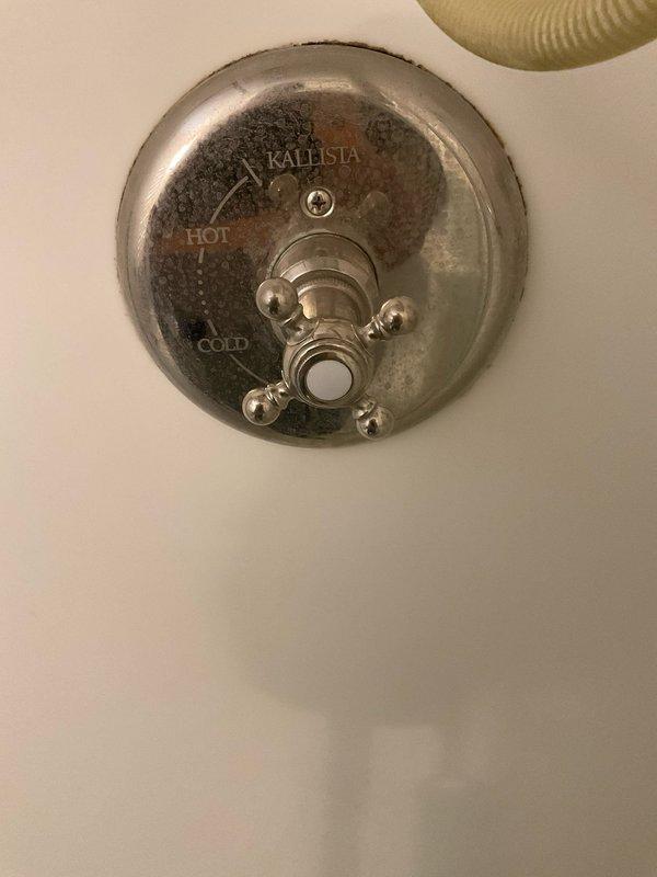 Responded to no hot water issue from shower mixing valve in century-old home. Upon inspection, found vintage Kallista shower control fixture with significant age-related wear and tarnishing affecting valve operation. Accessed plumbing system through existing wall panel in adjacent room to diagnose and address mixing valve malfunction, restoring proper hot water delivery to the shower fixture.