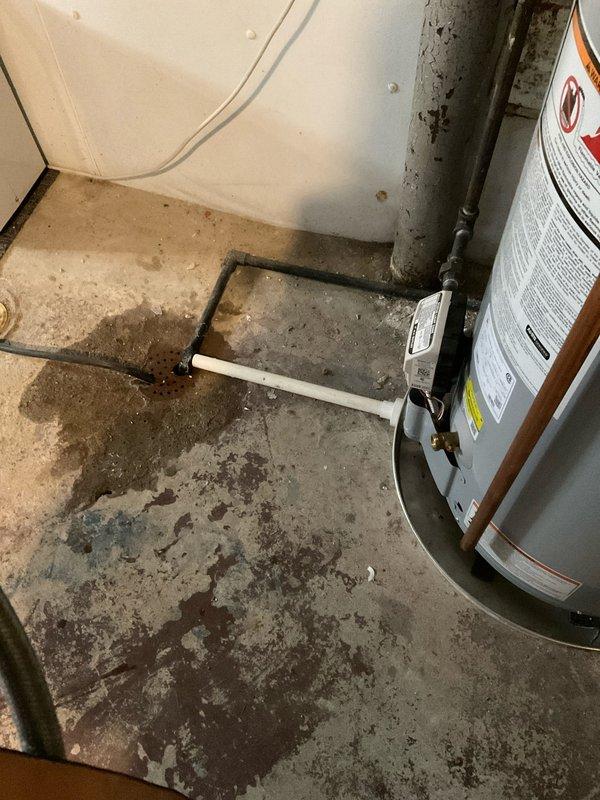 # Tanked Water Heater Flush Service

Performed routine maintenance flush on a 3-year-old residential tank-type water heater located in basement utility area. Executed complete drainage procedure to remove sediment buildup and mineral deposits from tank bottom, which helps maintain heating efficiency and extend equipment lifespan. Unit was accessible during scheduled service window and flush was completed without complications.

Upon arrival, inspected water heater installation and surrounding plumbing connections. Connected discharge hose to tank drain valve and routed to appropriate drainage area on concrete floor. Opened drain valve and allowed complete tank evacuation, flushing accumulated sediment through discharge line. Monitored water clarity during drainage process to ensure thorough removal of mineral deposits and debris. Once water ran clear, closed drain valve and restored cold water supply to refill tank.

Verified proper operation of temperature and pressure relief valve du