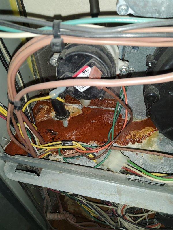 # HVAC Maintenance - Cooling System Service

Performed comprehensive preventive maintenance on a 20+ year old heat pump system during first service call. Upon inspection, unit showed significant age-related deterioration including heavy rust and corrosion on interior metal components and panels, with visible mineral deposits and efflorescence indicating previous moisture exposure. Blower motor assembly and electrical connections were inspected and found operational despite equipment age. Cleaned accumulated dust, debris, and cobwebs from interior compartments. Verified proper electrical connections at motor terminals and control components. Assessed refrigerant line routing and condition. System operational at time of departure, though advanced age and corrosion levels noted for customer awareness regarding future equipment considerations.