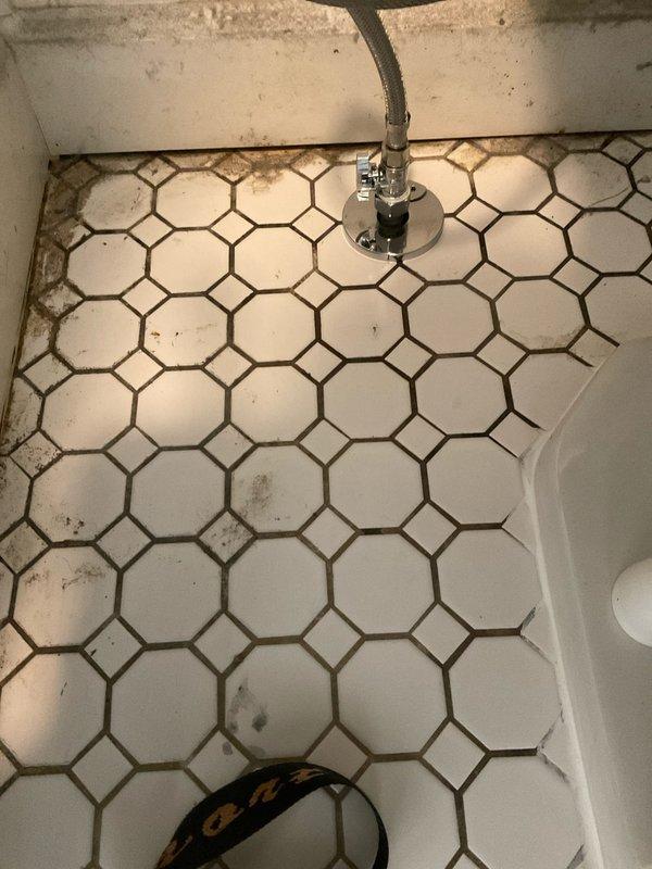 Installed a standard round front Gerber toilet in bathroom with octagonal tile flooring. Repaired the closet flange to ensure proper seal and stability before setting the new fixture. Connected water supply line and verified proper function and flush operation.