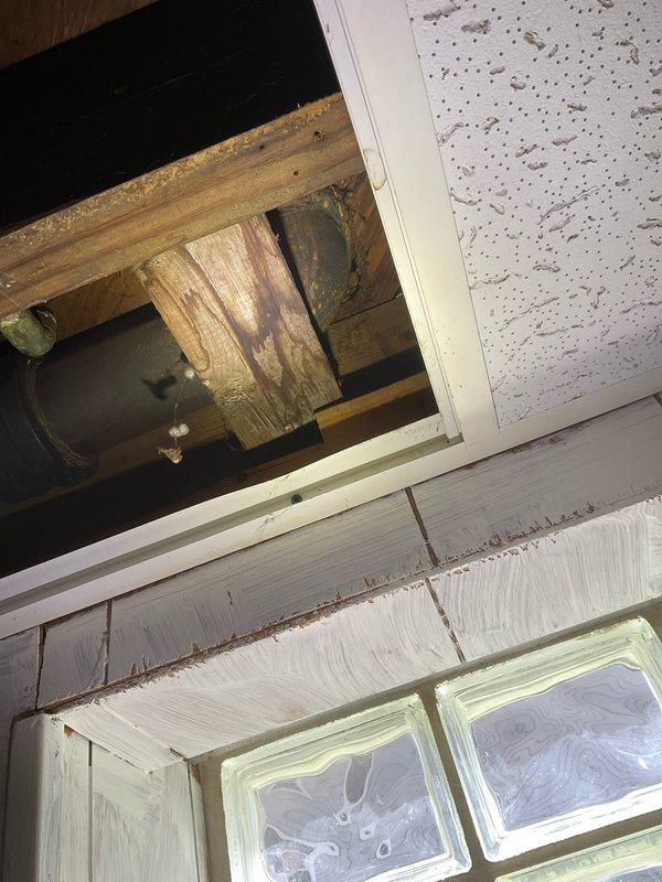 Responded to recurring clogged drain stack issue in residential bathroom. Upon inspection, assessed existing cast iron drain stack system that had previously failed to be cleared by another service provider. Evaluated condition of drain stack and surrounding plumbing infrastructure, including ceiling access point and bathroom fixtures. Performed diagnostic assessment to determine whether drain could be successfully cleared or if replacement from cast iron to PVC piping would be necessary for permanent resolution. Documented existing conditions of drain stack, ceiling access area, and affected bathroom plumbing system through photographic evidence for repair recommendations.