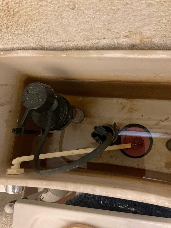 Responded to customer report of dripping shower fixture. Upon inspection, found leaking tub/shower valve requiring access through tile wall. Removed section of wall tile to expose valve assembly and plumbing connections. Identified source of leak at valve stem or cartridge. Additionally inspected toilet tank components and found aging flush valve and fill valve assembly with mineral buildup and deterioration. Documented existing conditions with photographs for customer records and repair recommendations.
