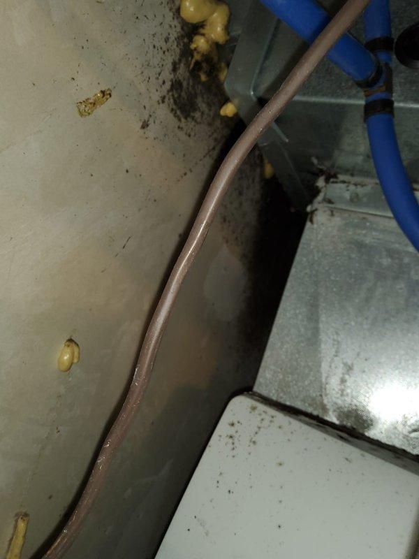 Completed routine cooling system maintenance on 15-year-old air conditioning unit as part of home plan recurring service. Performed comprehensive tune-up including inspection of refrigerant lines, coil conditions, and drainage components. Noted visible age-related wear including copper pipe oxidation, corrosion on metal framework, and accumulated debris in mechanical compartment requiring monitoring for future service intervals.