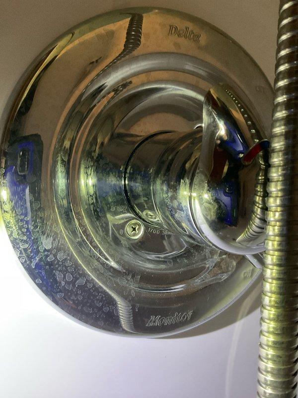 Inspected toilet tank and shower valve assembly to provide repair estimates. Evaluated Glacier Bay toilet internal flushing mechanism, including black plastic float assembly, flapper seal, and fill valve for proper operation and potential replacement needs. Assessed Delta Monitor single-handle shower mixing valve with chrome trim plate and control handle for functionality and repair requirements. Documented existing conditions including minor water staining and mineral deposits in toilet tank, and typical wear patterns on shower valve components. All necessary replacement parts identified for future repair work.