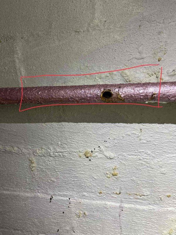 Responded to service call for steam boiler system at owner-occupied residence. Upon arrival and inspection, identified damaged pipe insulation on steam distribution line, which was allowing heat loss and potentially affecting system efficiency. Documented existing cast iron radiator condition and steam pipe insulation deterioration. Advised property owner of insulation repair needs to prevent continued energy loss and maintain proper steam delivery to heating zones throughout the residence.