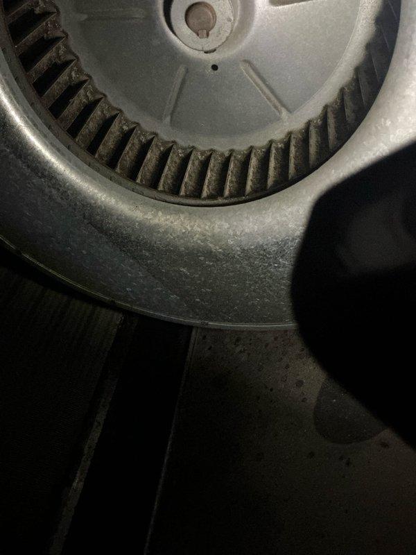 Performed comprehensive AC tune-up on air handler unit estimated 5-10 years old with no reported issues. Conducted thorough inspection of blower wheel assembly, centrifugal fan components, and motor housing, noting normal dust accumulation consistent with operational use. Inspected refrigerant lines routing through air handler assembly, verified blower motor mounting and hardware integrity, and documented system condition through photographic records showing squirrel-cage blower wheel, motor assembly, and copper refrigerant tubing in satisfactory operational state.