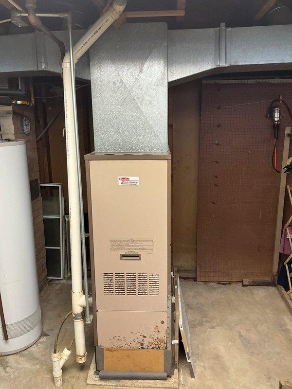 Conducted on-site assessment for heat pump and heat pump water heater replacement in residential property. Evaluated existing furnace and water heater system in basement mechanical room, documented current equipment configuration including ductwork connections and drainage systems, and provided estimate for upgrading to heat pump technology for both space heating and domestic water heating applications.
