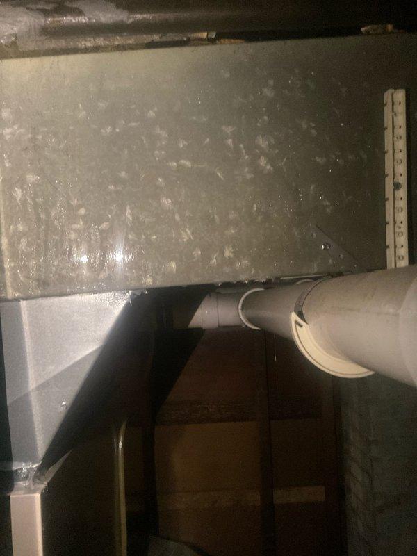 Responded to complaint of insufficient cooling on upper level following previous PCB installation. Inspected HVAC system including ductwork, plenum, and condensate drainage. Evaluated airflow distribution and system performance to address temperature concerns in affected areas.