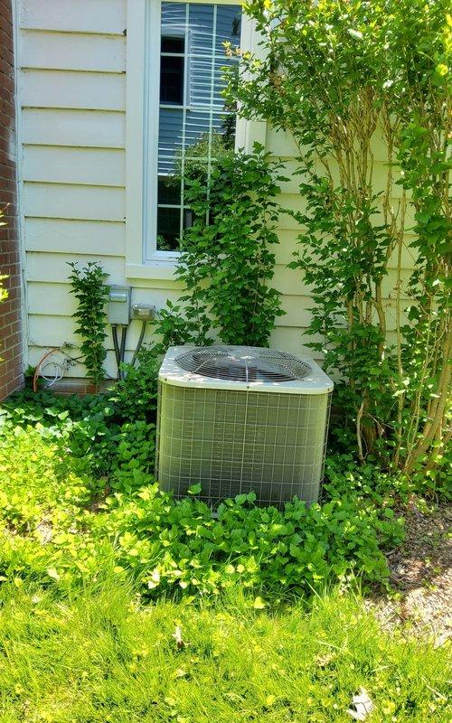 Responded to no-cool service call for 11-year-old Trane central air conditioning system with PA13A060 E outdoor unit. Upon arrival, confirmed outdoor condenser fan was not operating, resulting in no cooling to entire residence. Inspected indoor furnace and air handler components, verified proper thermostat operation and settings. Proceeded to outdoor unit for diagnostic evaluation. Found condenser unit partially obscured by overgrown vegetation including climbing vines and shrubs, which may restrict airflow and contribute to premature component failure. Diagnosed failed capacitor preventing condenser fan motor from starting. Replaced dual run capacitor with manufacturer-approved replacement part, restoring proper operation to condenser fan motor. Tested system operation through complete cooling cycle, verified proper amperage draw on compressor and fan motor, confirmed adequate airflow and temperature differential across evaporator coil. Recommended vegetation management around outdoor
