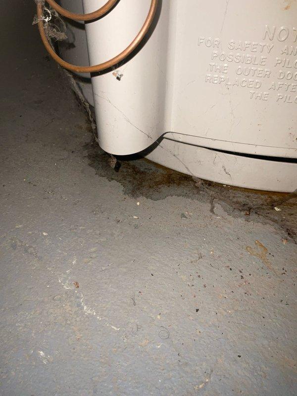 Provided free estimate for replacement of 24-year-old 50-gallon natural gas water heater experiencing active leakage at base. Upon inspection, confirmed significant water pooling on concrete floor beneath unit with visible moisture damage and discoloration on tank exterior. Age and condition of existing water heater indicate end of serviceable life. Documented current installation configuration including copper supply piping connections and existing pressure tank system marked at 70 PSI. Reviewed replacement options and specifications for new 50-gallon tank installation to restore reliable hot water service.
