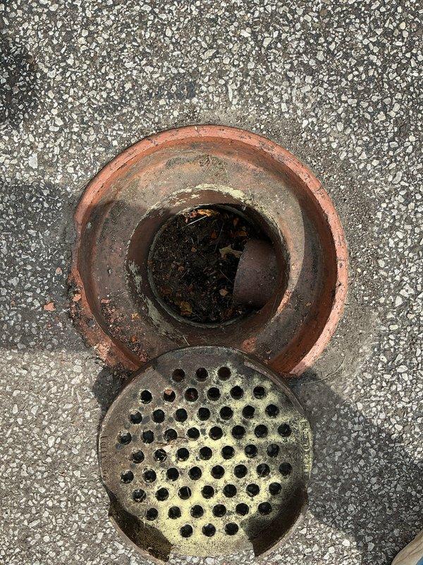 # Driveway Drain Repair and Cleaning

Responded to service call for damaged outdoor driveway drain at century-old residential property. Upon arrival, assessed crushed drain assembly that had been compromised by heavy vehicle traffic. The existing drain consisted of a perforated metal grate set within a copper/bronze collar frame, showing significant structural damage and displacement from its original position.

Removed damaged grate and inspected drain opening, which revealed a terracotta or ceramic collar with considerable weathering consistent with the property's age. Interior examination showed substantial accumulation of organic debris, decomposed leaves, and sediment buildup restricting proper drainage flow. The existing grate displayed advanced corrosion, rust damage, and mineral deposits throughout the perforated surface.

Cleared all debris and organic matter from drain opening and underlying pipe to restore proper water flow capacity. Cleaned terracotta collar and surrounding