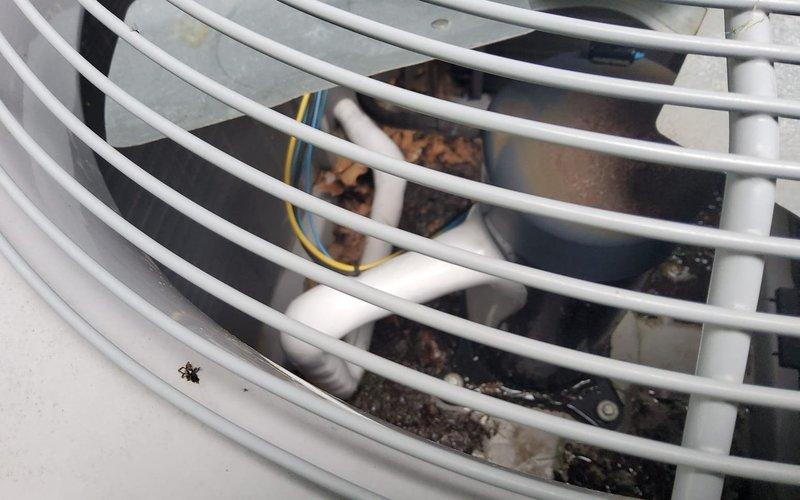 Responded to service call for 9-year-old air conditioning system with recurring issues from previous year. Upon inspection, discovered extensive frost buildup completely covering the evaporator coil assembly, indicating restricted airflow or potential refrigerant flow issues. Found significant debris accumulation including leaves and dirt within the outdoor unit's blower housing and motor assembly, blocking proper ventilation. Documented heavily frosted coil condition with ice crystals several inches thick obscuring the entire coil structure, as well as contaminated outdoor unit components. System showing signs of age with visible condensation issues on basement HVAC piping and non-functional upstairs zone, both previously addressed but recurring. Photographed conditions for documentation purposes. Diagnostic fee waived per management approval; customer responsible for labor and repair costs to address frozen evaporator coil, debris removal, airflow restoration, and resolution of recur