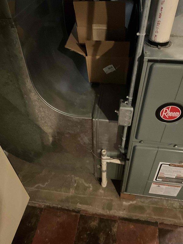 Conducted HVAC replacement estimate for a 30-year-old system. Evaluated existing Rheem unit located in basement utility area, noting moisture staining on concrete floor and condensate drainage conditions. Assessed exterior condenser location with overgrown vegetation requiring clearance for proper airflow and service access.