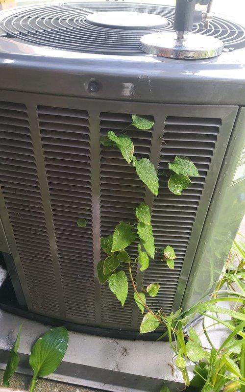 Completed annual cooling system maintenance on a 7-year-old residential air conditioning system. Performed comprehensive tune-up including inspection of outdoor condenser unit and indoor furnace/air handler, cleared vegetation growth from condenser louvers to restore proper airflow, verified all electrical connections, tested system operation, and confirmed equipment is functioning within normal parameters for the cooling season.