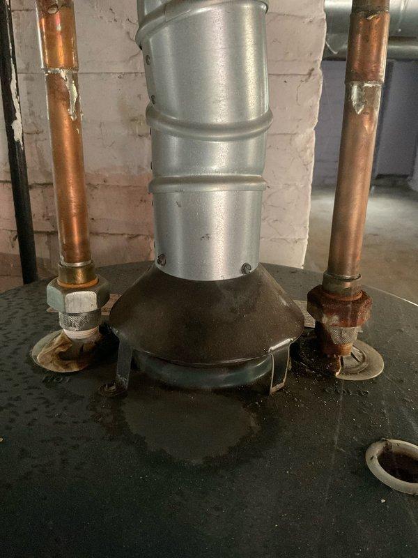 Responded to service call for insufficient hot water production from recently installed tanked water heater system. Upon arrival, found dual water heater configuration in basement utility area with copper supply lines and galvanized venting. Customer reported only lukewarm water available despite new installation. Performed diagnostic inspection of both units, examining temperature settings, gas supply connections, burner operation, and flue venting system. Inspected copper piping connections for proper flow and potential cross-connections that could affect water temperature. Evaluated vent pipe assembly and draft hood for proper combustion air flow and exhaust. Checked pressure relief valves, dip tubes, and internal heating elements for proper function. Documented existing plumbing configuration showing aged copper piping with oxidation, galvanized vent connections, and installation in unfinished basement space with exposed joists. Identified issues preventing adequate hot water deliv