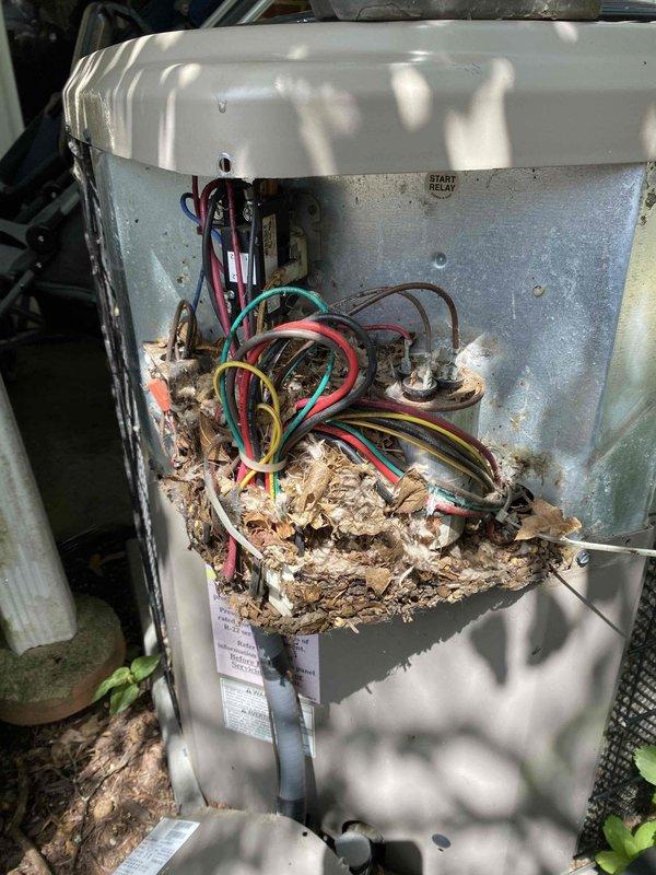 Responded to air conditioning system not cooling to set temperature with indoor temperature at 79°F and thermostat set to 68°F. Upon inspection, discovered extensive accumulation of organic debris, nesting material, leaves, and plant matter throughout the outdoor unit's electrical compartment surrounding wiring and components. Removed all debris from electrical compartment and verified proper operation of start relay and electrical connections. Inspected attic-mounted air handler unit, condensate pan, and ductwork for proper operation. Cleared vegetation from around outdoor unit perimeter to prevent future debris intrusion. System tested and confirmed cooling operation restored to normal parameters.