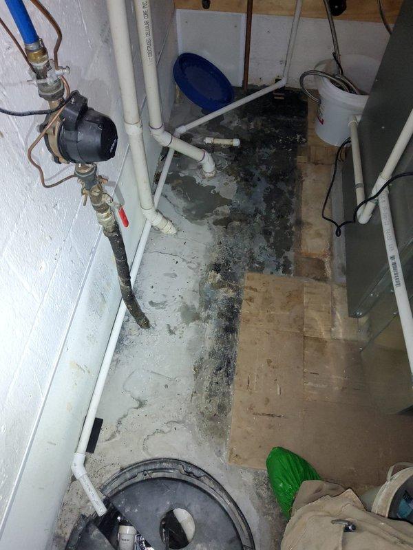 Performed annual maintenance flush on a one-year-old Energy Star certified tankless water heater unit as part of a courtesy plumbing visit. Successfully completed descaling procedure by isolating the unit using the installed service valves, connecting flush equipment via the brass isolation valves with blue handles, and circulating cleaning solution through the heat exchanger to remove mineral buildup and maintain optimal efficiency. Unit tested and returned to normal operation with all connections verified leak-free.