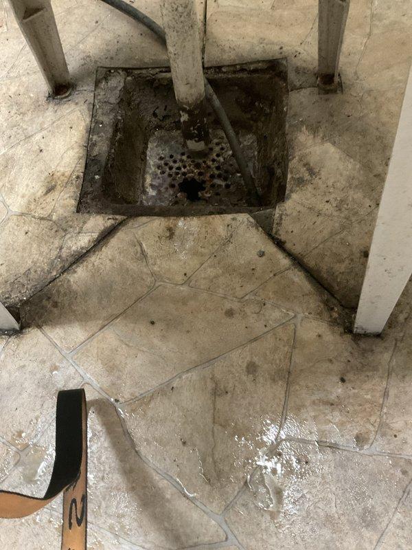 Responded to a clogged drain issue affecting both a floor drain in the utility/laundry room and a third-floor bathroom in a 95-year-old residential property. Upon arrival, assessed the floor drain which showed significant accumulation of debris, grime, and organic matter causing restricted water flow. The drain cover exhibited heavy soiling with buildup blocking the perforated openings. Given the age of the home's plumbing system, evaluated potential complications related to older cast iron or galvanized piping that may contribute to recurring drainage issues.

Cleared the floor drain by removing the drain cover and extracting accumulated debris and blockage material. Utilized appropriate drain cleaning equipment to break up and remove obstructions within the drain line. Addressed the third-floor bathroom clog, which was likely connected to the same drainage system given the simultaneous occurrence of both issues. The vintage plumbing configuration in this older home required careful a
