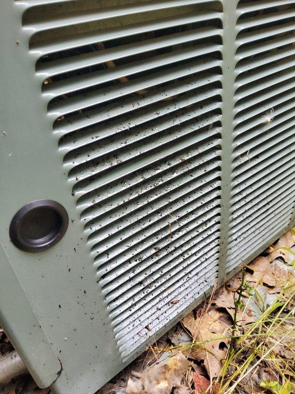 # HVAC Tune-Up Completed

Performed comprehensive preventive maintenance on a 20-year-old residential air conditioning system that was operating properly at time of service. Connected manifold gauges to measure refrigerant pressures and verify system charge levels. Inspected outdoor condenser unit, noting significant dirt and debris accumulation on coil fins and grille surfaces, as well as organic matter (leaves, grass clippings, pine needles) collected at base of unit. Cleaned condenser coil and removed debris from around equipment to restore proper airflow and heat transfer efficiency. Verified electrical connections at disconnect box and inspected refrigerant line sets running to home. System tested and confirmed operational following maintenance procedures.