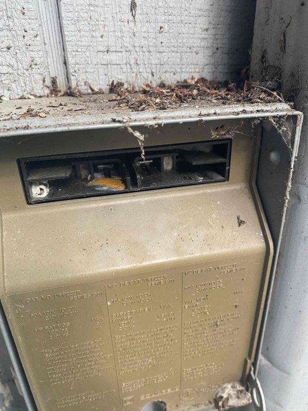 Completed routine AC tune-up maintenance on 18-year-old air conditioning system. Performed comprehensive inspection of unit exterior, noting significant debris accumulation on top of equipment housing including dried leaves and organic material which was cleared from control panel area and top surfaces. Inspected internal compartment including electrical connections, wiring harness, refrigerant lines, and motor components. All electrical terminals, transformers, and color-coded wiring verified for proper connections and secure mounting. Copper refrigerant tubing inspected for condition and routing. System found to be operational with no immediate safety concerns identified at time of service.
