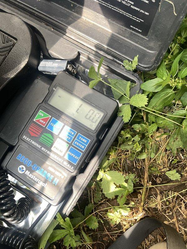 Returned to system after unit thawed from previous frozen condition. Performed diagnostic testing using digital manifold gauges, recording superheat and subcooling measurements along with system pressures and temperatures. Utilized electronic refrigerant scale to verify proper refrigerant charge levels and assess system performance parameters.