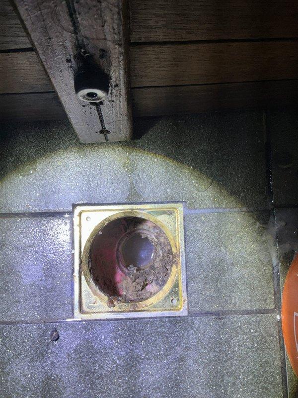 Responded to plumbing leak in 105-year-old residential property. Upon arrival, inspected ceiling damage revealing compromised structural framing and water-stained supply piping running through ceiling cavity. Ceiling opening exposed deteriorated wooden joists with visible moisture damage and discoloration on vertical pipe installation. 

Assessed basement floor drain system showing accumulated sediment and debris within drain bowl. Drain assembly exhibited signs of age-related wear consistent with property vintage. Inspected overhead wooden beam structure for moisture intrusion and verified integrity of plumbing penetrations. 

Documented existing conditions including ceiling water damage patterns, compromised drywall, and basement drainage components. Photographed affected areas for service records and future reference.