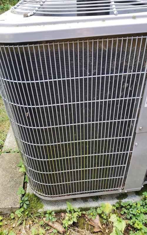 Performed comprehensive AC tune-up on Carrier outdoor condensing unit. Inspected all major components including compressor, condenser coil, fan motor, and electrical connections. Verified proper refrigerant pressures and system operation. Condenser coil showed moderate accumulation of debris between fins; cleaned coil to restore optimal airflow and heat transfer efficiency. Checked recently replaced capacitor for proper operation and secure mounting. Cleared vegetation growth from base of unit and around concrete pad to maintain adequate clearance. Tested system startup and shutdown sequences, confirmed proper amperage draw on all components. System operating within manufacturer specifications with no issues detected.