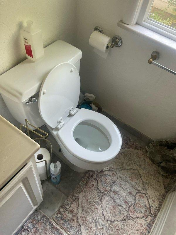 Replaced two existing toilets with new fixtures in residential property. Removed old units, installed new toilets with proper wax ring seals and water supply connections, tested for leaks and proper flushing operation. All debris removed from work areas and installations verified to be functioning correctly.