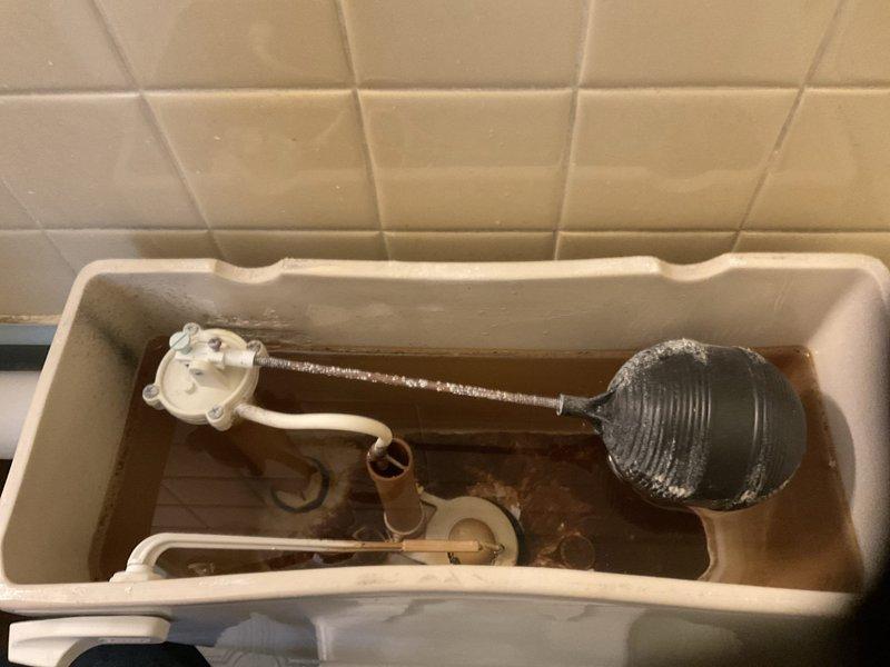 Performed diagnostic evaluation of multiple plumbing fixtures including leaking faucets, continuously running toilet, and malfunctioning sink sprayer. Inspected toilet tank components, identifying worn flapper valve and fill valve assembly as source of continuous water flow, and documented conditions for repair recommendations.