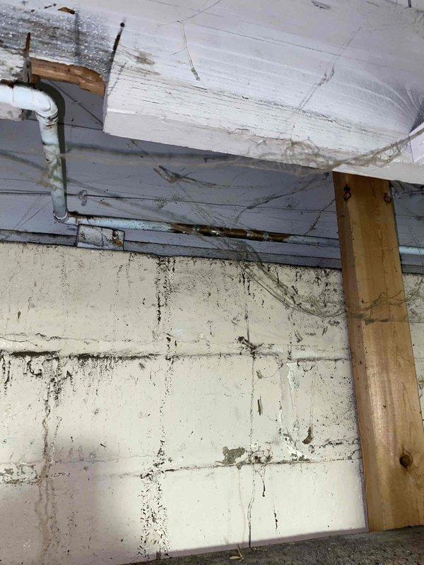 Responded to water leak service call and inspected boiler system, water supply lines, and exterior faucet piping in basement utility area. Identified multiple leak points including compromised fittings on boiler water line, leaking pipe connection to exterior faucet, and active leak on boiler unit itself. Documented extensive water damage evidence on concrete block foundation walls with vertical staining patterns indicating long-term moisture infiltration. Photographed deteriorated conditions including aging plumbing infrastructure, exposed piping systems, and structural components showing water exposure. Provided assessment of plumbing issues and prepared quote for hot water heater replacement as requested.