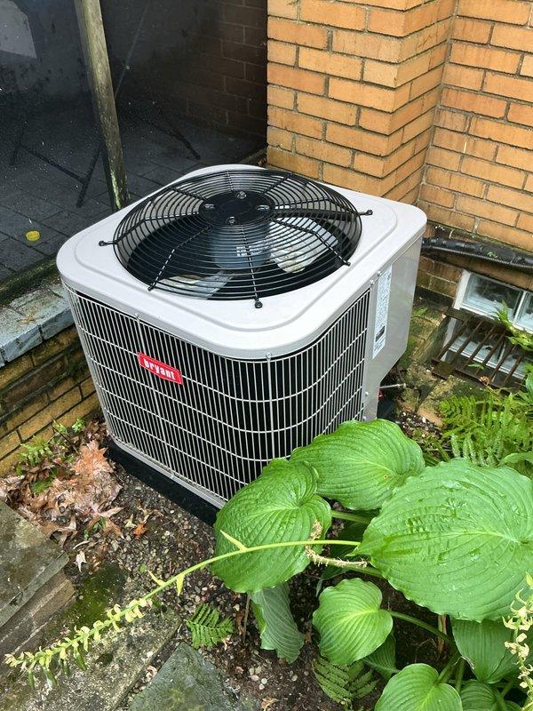 Performed basic condenser coil cleaning on outdoor air conditioning unit without removal of side panels or condenser fan. Unit was serviced in place with coils cleaned through protective wire guard, maintaining equipment integrity while removing debris and buildup to restore proper airflow and heat exchange efficiency.