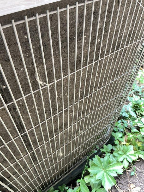 Responded to service call for Bryant condenser unit with main compressor failure to start. Upon arrival, found outdoor unit heavily clogged with accumulated dirt, dust, and debris on cooling coils and fins, with vegetation growth around base impeding proper airflow. Performed diagnostic testing on compressor and electrical components. Thoroughly cleaned condenser coils and fins to remove substantial buildup that was restricting heat exchange capacity. Cleared vegetation from around unit perimeter to restore adequate clearance for proper operation. Tested system operation following cleaning and verified compressor startup and normal function. Unit returned to full operational status with improved airflow and cooling efficiency.