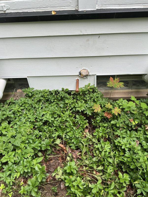 Completed plumbing inspection in basement utility area and exterior foundation perimeter. Identified multiple plumbing system components including galvanized vent stack, copper water lines, and PVC drainage piping requiring maintenance recommendations. Presented repair options to address aging galvanized piping and recommended foundation drainage improvements where vegetation growth was compromising proper water management around the structure.