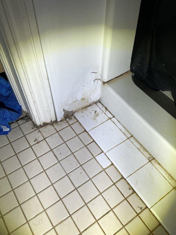 Responded to service call for toilet replacement in residential bathroom. Successfully removed and replaced two existing toilets with new fixtures. Addressed installation in bathroom with beige tile flooring and ensured proper sealing and mounting to prevent future water damage. Verified proper function of both units, including flush mechanisms and water supply connections. Completed installation with all fixtures secured and operational.
