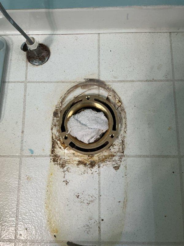 Performed plumbing assessment for toilet replacement in basement and inspected secondary toilet. Evaluated floor drain showing significant water damage and staining around fixture, indicating potential drainage issues or past overflow events. Examined exposed plumbing infrastructure including PVC P-trap configuration and drainage system beneath floor joists. Provided estimates for basement toilet replacement and recommended drain snaking service for shower drain to address blockage concerns.