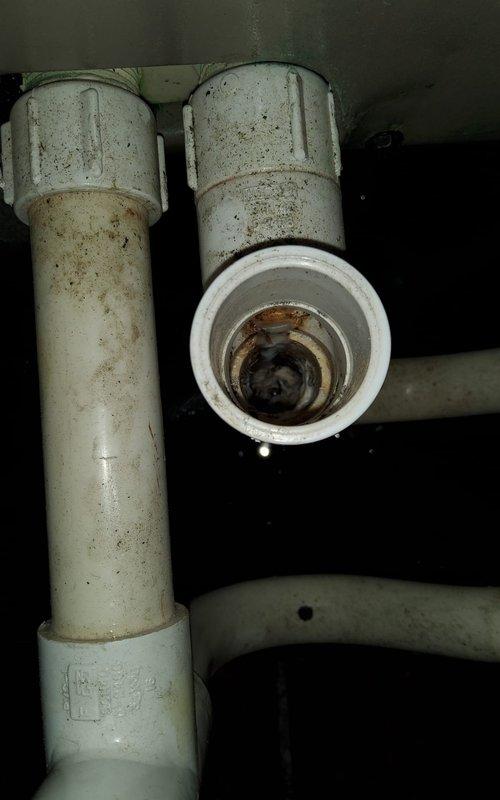 Responded to no cooling complaint caused by wet switch safety shutoff. Upon inspection, found secondary drain pan filled with water due to condensate drainage system failure. Primary condensate drain line was severely blocked with biological growth and sediment buildup, preventing proper drainage and causing backup into safety pan. Cleared blockage from condensate drain line using appropriate tools and flushing methods. Verified condensate pump operation and confirmed proper water level management. Tested drain flow, reset wet switch safety device, and restored system to normal cooling operation. System now draining properly with no water accumulation in secondary pan.