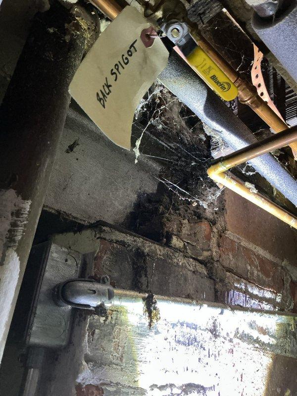Responded to service call for exterior hose bib leaking into basement when in use. Performed complimentary plumbing assessment of rear outdoor spigot installation. Upon inspection, identified brass spigot mounted on yellow brick exterior foundation wall with evidence of water infiltration issues. Examined interior basement area and located corresponding plumbing connections behind spigot location. Found deteriorated pipe penetration through foundation wall with visible water staining and corrosion on interior mechanical components. Spider webs and undisturbed conditions indicated chronic seepage issue rather than recent failure. Documented exterior spigot installation and interior basement conditions with photographs showing compromised seal at wall penetration point. Advised homeowner of findings and provided recommendations for proper repair to prevent continued water intrusion into basement space.
