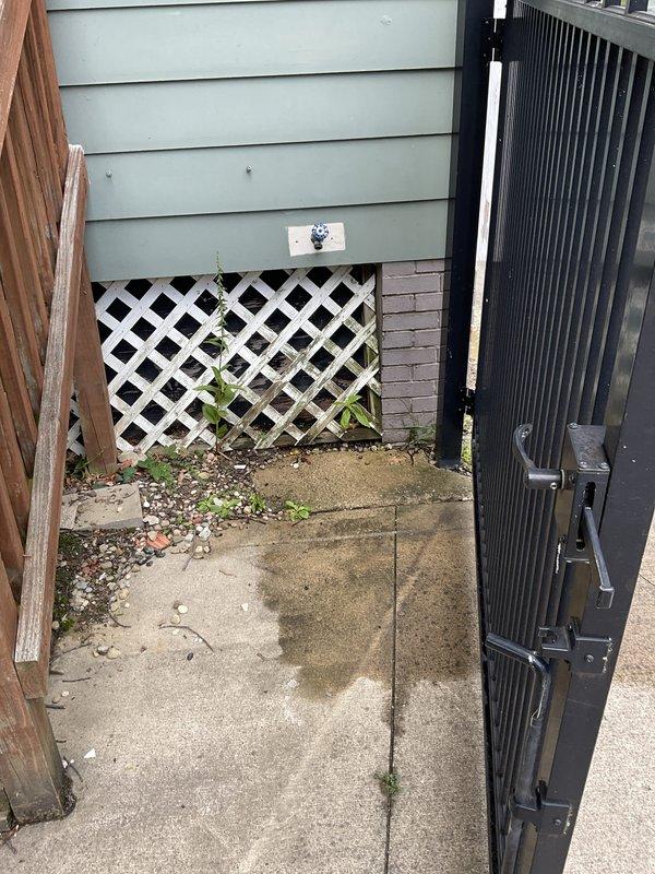 Responded to follow-up service call regarding outdoor spigot water line repair. Previous repair work addressed the exterior water line to the outdoor spigot, however, customer reported concerns about the interior basement water supply line serving the spigot appearing unsupported or leaning. Upon inspection, documented current condition of the outdoor spigot location in side yard area and examined the basement water supply line routing and support system. Photographed the affected areas including the basement ceiling structure showing the water line path and existing support conditions to assess structural concerns and determine appropriate corrective measures for proper line stabilization.